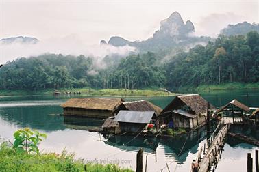 12 Thailand 2002 F1090021 Khao Lak Ausflug Khao Sok_478